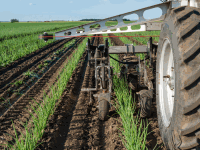 Seed Hoeing robot onion 19
