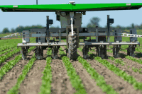 Seed Hoeing robot coriander 13