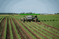 Seed Hoeing robot onion 40