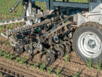 Seed Hoeing robot onion 33