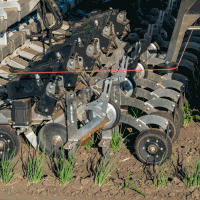 Seed Hoeing robot onion 31