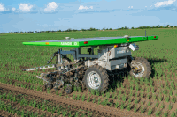 Seed Hoeing robot onion 29