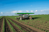 Seed Hoeing robot onion 28