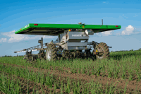 Seed Hoeing robot onion 26