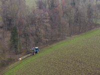 Eiche fällen 27