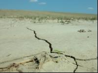 Risse im Boden 3