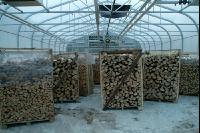 Holz Trocknung 2