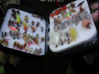 Fliegen fischen 6