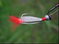 Fliegen fischen 8