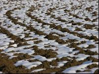 Schnee Muster 9