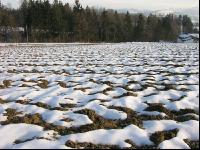 Schnee Muster 5