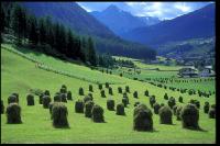 Auf der Alm 25