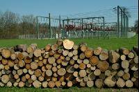 Strom Holz 