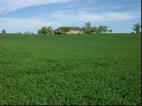 Vierkanthof 9