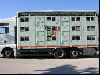Tiertransporte 11