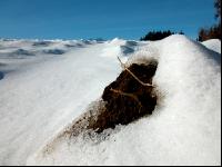 Verschneit 13