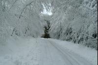 Schnee Weg 2