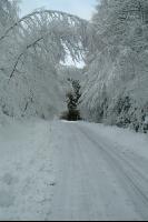 Schnee Weg 1