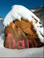 Blochholz 7
