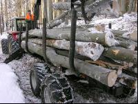 Holz laden 2