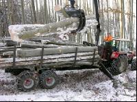 Holz laden 5