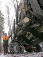 Holz laden 16