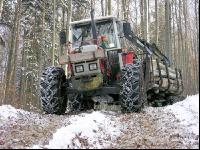 Holz laden 19