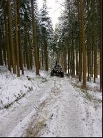 Holz laden 21