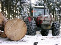 Holz laden 23