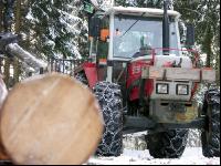 Holz laden 24