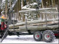 Holz laden 25