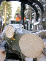 Holz laden 26