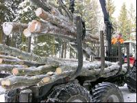 Holz laden 27