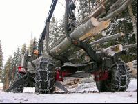 Holz laden 29