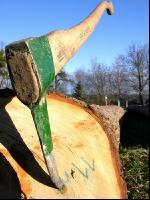 Holzsappel 1