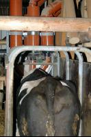 Kraftfutterstation 1