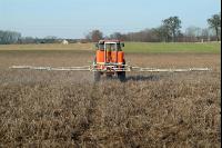 Mustard total herbicide 4