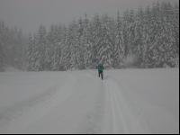 Langlauf 1
