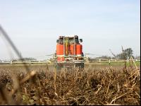 Mustard total herbicide 6