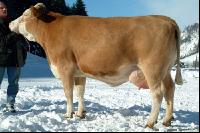 Elke im Schnee
