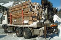 Holzfuhre 1