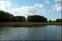 Donauauen 6