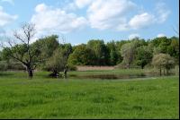 Donauauen 9