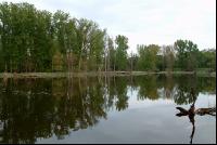 Donauauen 11