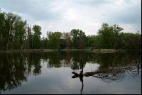 Donauauen 10