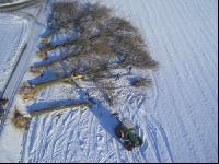 Holz Luft 3