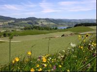 Salzkammergut 1