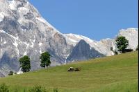 Alpine Heuarbeit 