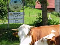 Hofschild 1