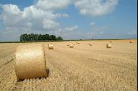 Rundballen Stroh 1